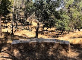 The new National Park Debbin