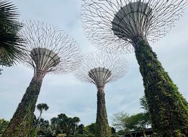 Free Singapore Tour