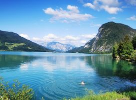 Lake view
