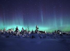 Star HuntingTrysil