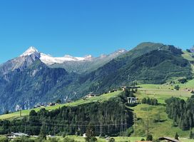 Waldstück