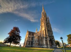 All In Dunedin - Nature and City Tours