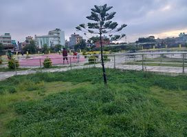 Apple Ground Public Park Narephat
