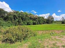Ngong Road Forest Sanctuary