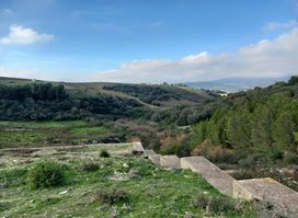 Parc national de Oued Zen