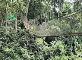 Bunso Eco Park (Bunso Arboretum)