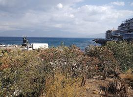 Cosmina's Beach