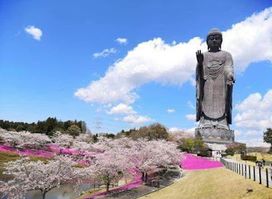 Ushiku Daibutsu