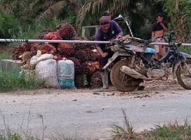 Pancang perbatasan Sumatera Barat dengan Sumatera Utara