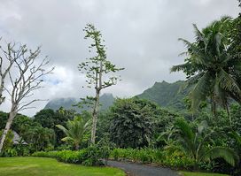 de Raiatea Botanical Garden