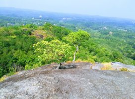 Nadukani View Point, Kayyoor