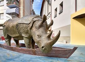 il rinoceronte