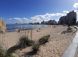 Playa Mansa, Punta del Este