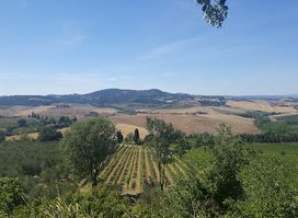 Azienda Agricola Canneto