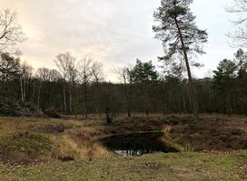 Natuurmonumenten Cronebos
