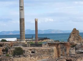 Les Ruines de Carthage
