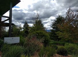 Pimpernel Vineyards