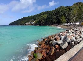 Cat Cocos Berth