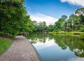 Singapore Botanic Gardens