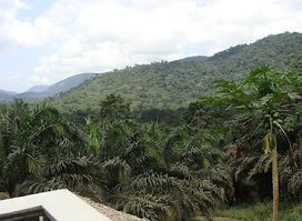 Parque Nacional del Monte Alén