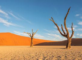 Deadvlei Hiking Trail