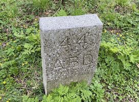 Stone 45