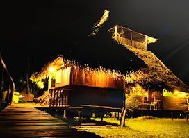 Cuyabeno River Lodge