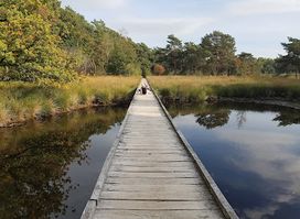 National Park De Maasduinen