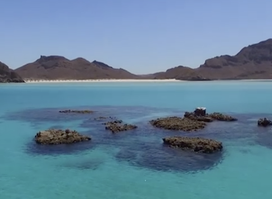 Visit Baja Sur