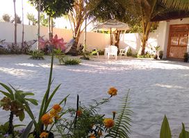 Palm Garden