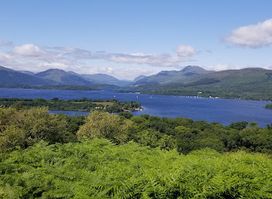 Loch Lomond National Nature Reserve (Inchcailloch)