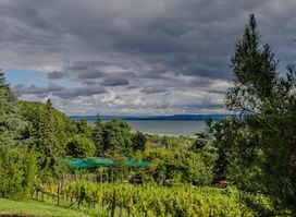 Folly Arboretum and Winery