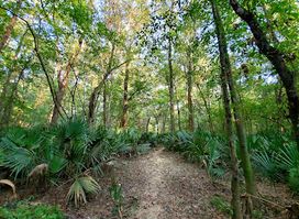Bottle Creek Indian Mounds Trailhead