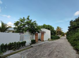 Clovebeach