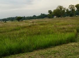 Monavale Vlei