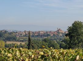Cantina Boscarelli