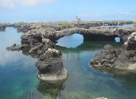 Galápagos Native Tour Operator