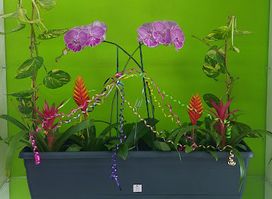 Rhona's Flowers & Gifts Ltd