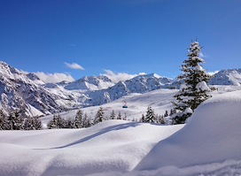 Discover Arosa