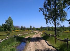 Heiden und Magerrasen bei Trupbach