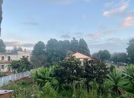 Flower Palace Hotel