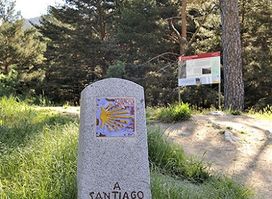 Camino de Santiago de Madrid (y Vía XXIV Romana)