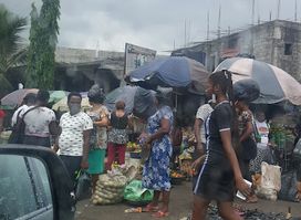 Oil Mill Market