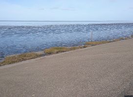 Unesco Waddenzee