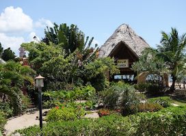 Rhum Shack at Hopkins Bay Resort