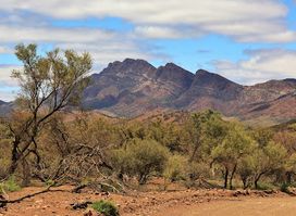 MORALANA SCENIC DRIVE