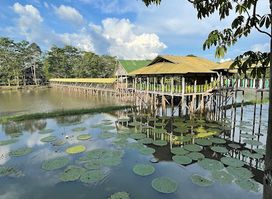 Amazon Tour