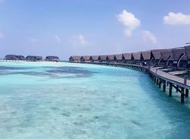 Makunufushi