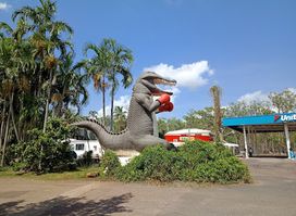 THE BOXING CROC.