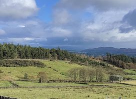Knocknarea Deserted Village